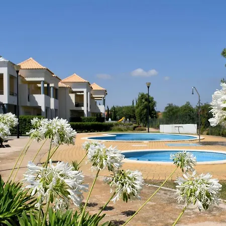 Ferreira's فيلة *